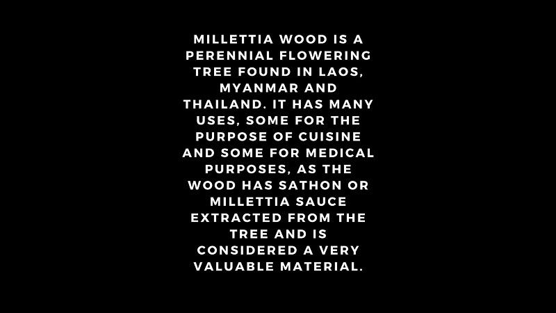 Millettia wood beaded bracelet